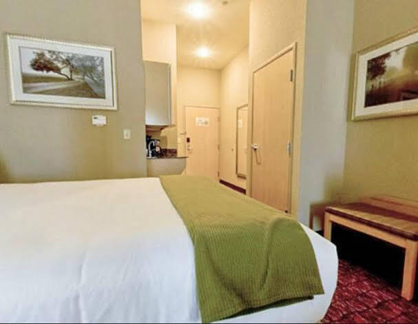 Holiday Inn Express Hotel And Suites Borger By Ihg Eksteriør billede